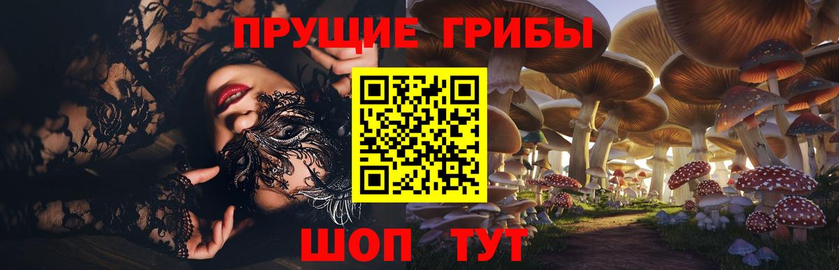 Энгельс  Псилоцибиновые грибы GOLDEN TEACHER  Вход с VPN 