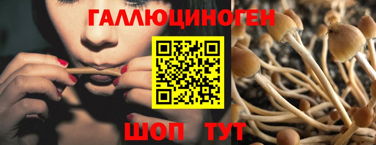 Псилоцибиновые грибы мухоморы Энгельс